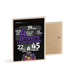 Vettel Facts