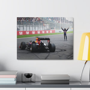 Sebastian Vettel Celebrating his Fourth Championship Win at the Indian GP