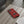 Senna MP4/4 Phone Case