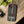 F2007 Phone Case