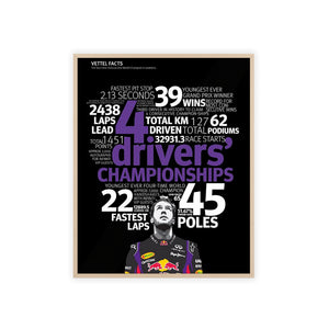 Vettel Facts