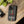 F2007 Phone Case